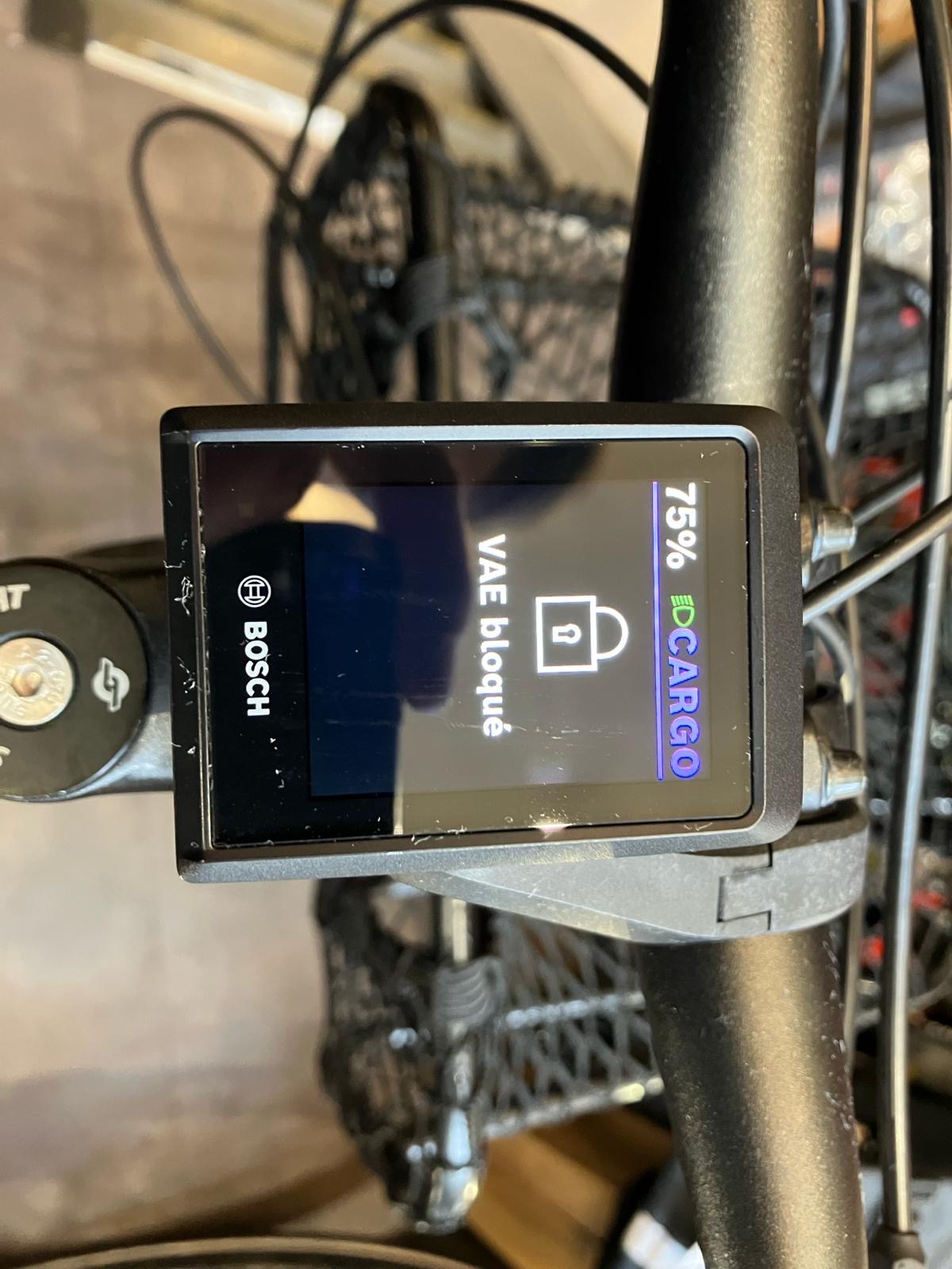 VÉLOS CARGO CANNONDALE